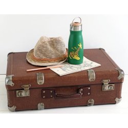 Thermal Flask - giraffe