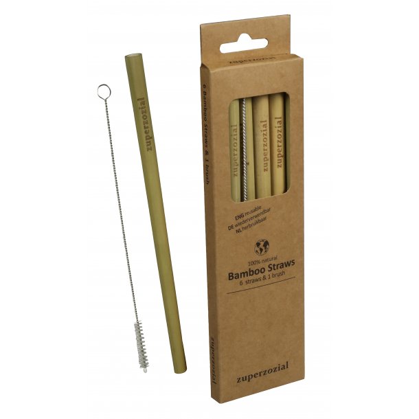 Bamboo Straws set/6 + brush