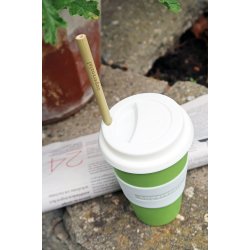 Bamboo Straws set/6 + brush