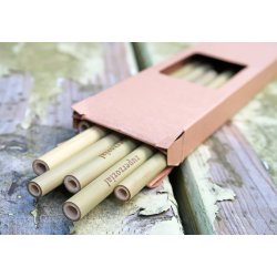 Bamboo Straws set/6 + brush