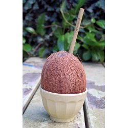 Bamboo Straws set/6 + brush