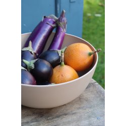 BOOST-BOWL 2000ML - toffee brown