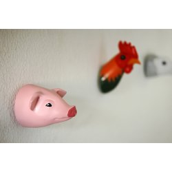 Wall Hook - farm pig