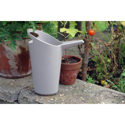 Let it Grow - stone grey