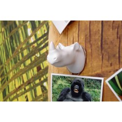 Rhino Wall Hook - matt white